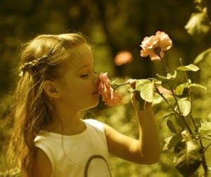 Flores I